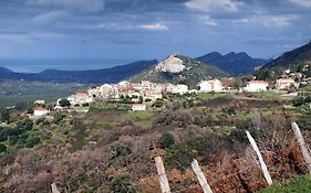 Casa Di Jf